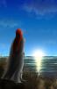 post-63-0-40560800-1398070234_thumb.jpg